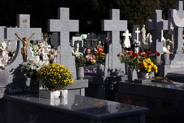 Flores Cementerio de Valdemoro 1 - M. Martin Vicente (flickr)