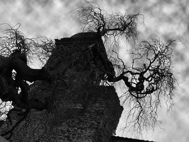 Cementerio cementerios Halloween