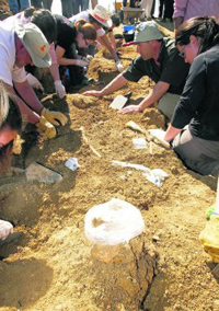 Desentarrando una fosa por la Memoria Histórica - IUValladolid Desentarrando una fosa por la Memoria Histórica