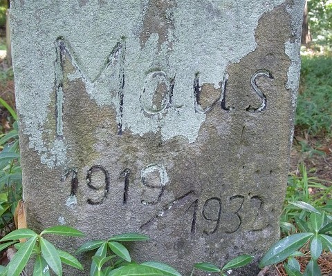 Lápida en mal estado