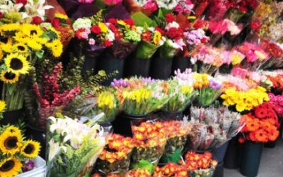 Flores por todos los Santos