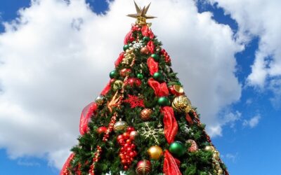 Feliz Navidad y próspero año nuevo