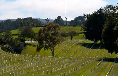 Flores en el camposanto