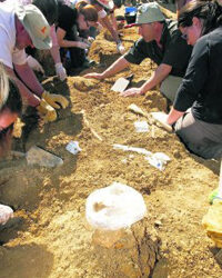 Cádiz derriba su viejo cementerio